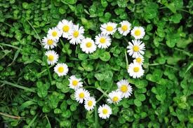 Na maminky jsme nezapomněli