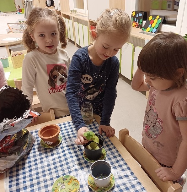 Staráme o rostlinky