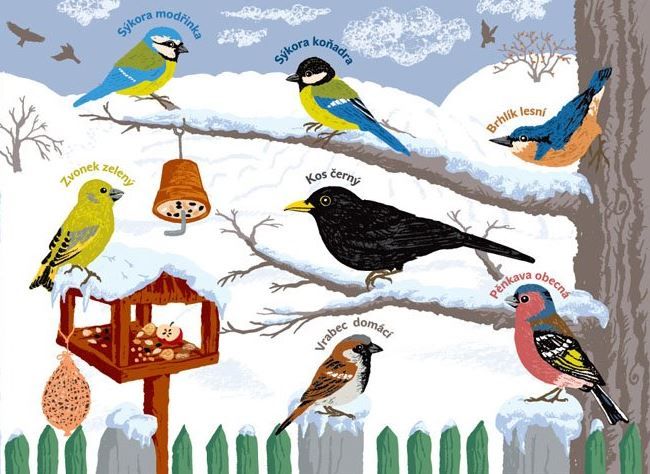 Staráme se o ptáčky