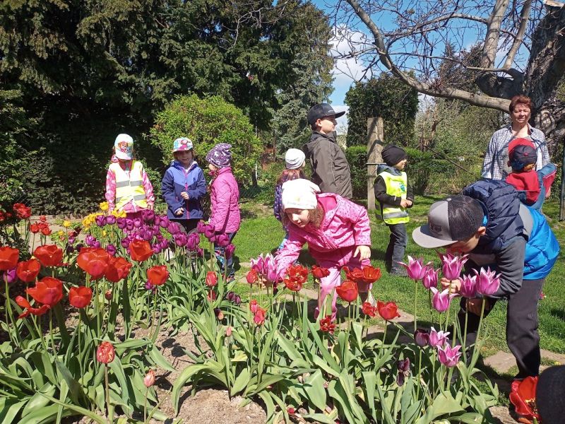 V květinové zahrádce