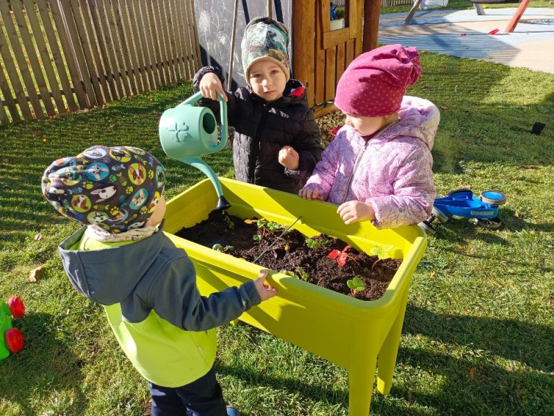 Naše malá ovocná zahrádka