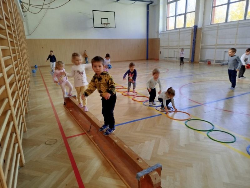 Se Sokolem do života